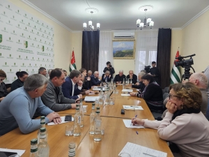 Пути выхода из энергокризиса и перспективы развития отрасли: как прошла встреча в Общественной палате