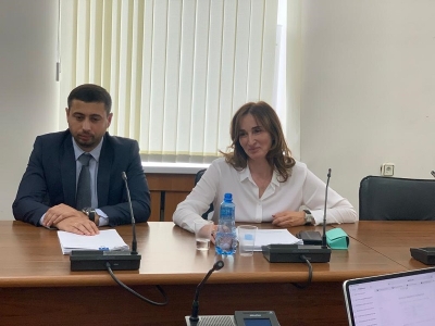 КРИСТИНА ОЗГАН ДОЛОЖИЛА ДЕПУТАТАМ О СИТУАЦИИ С ЦЕНООБРАЗОВАНИЕМ НА НЕФТЕПРОДУКТЫ В АБХАЗИИ
